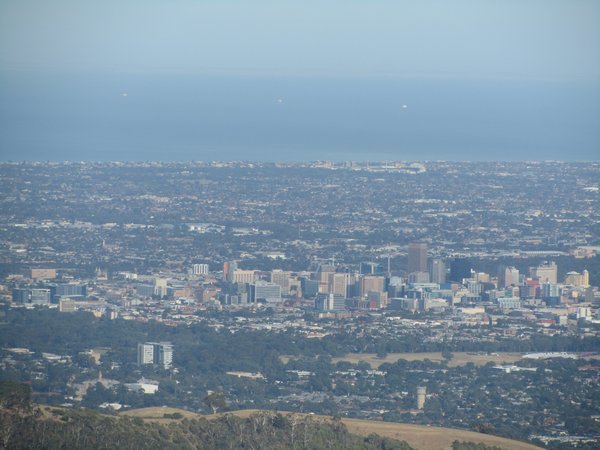 View of Adelaide from Mount Lofty