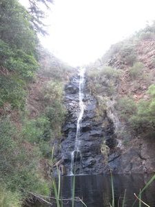 Mount Lofty Waterfall