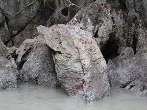Dolphin shaped rock