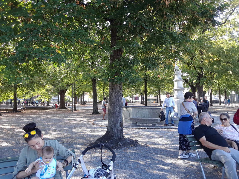 The Lindenhof park