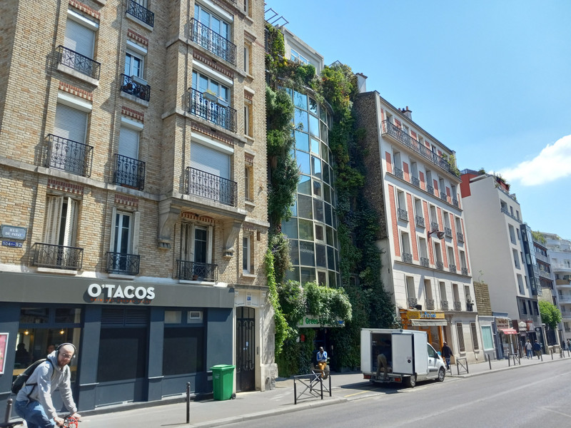Cool vegetation growing on a building
