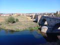 The famous bridge of Hospial de Orbigo