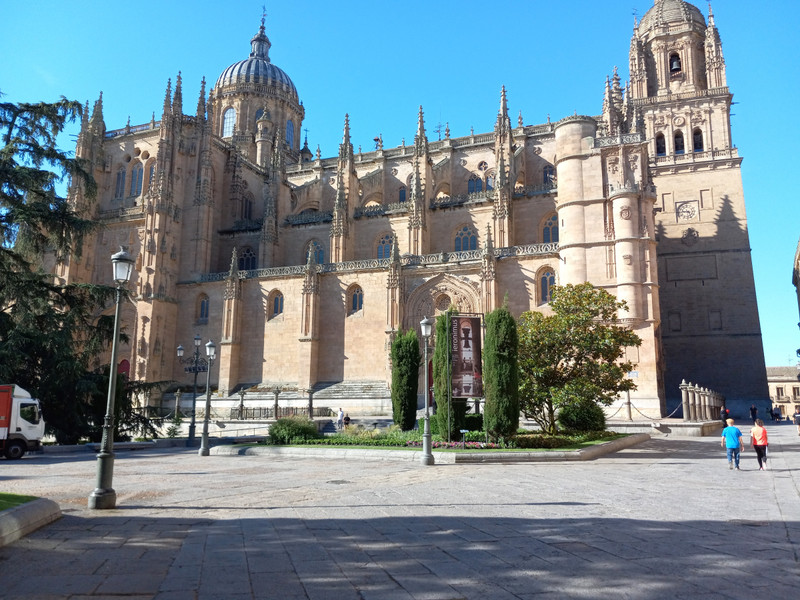 Nice view of the cathedral(s) of Salamanca