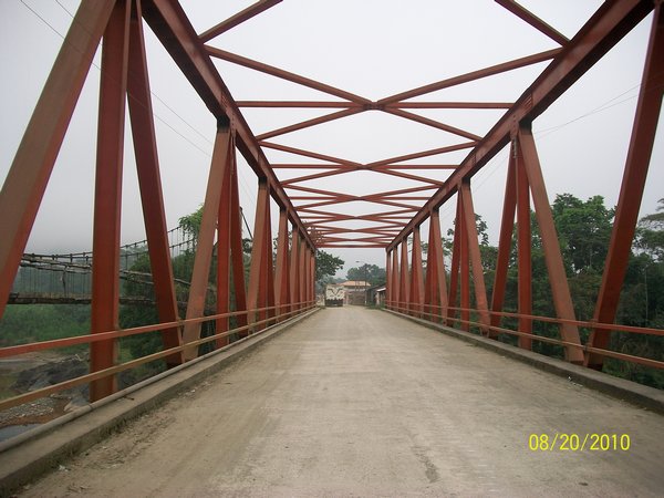 Bridge to the Jungle