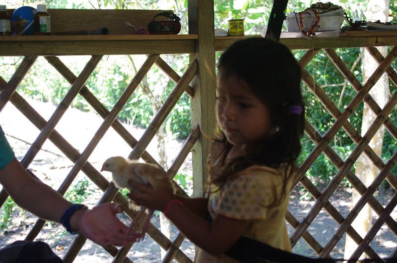 A little Ecuadorian girl giving J.C. a chick