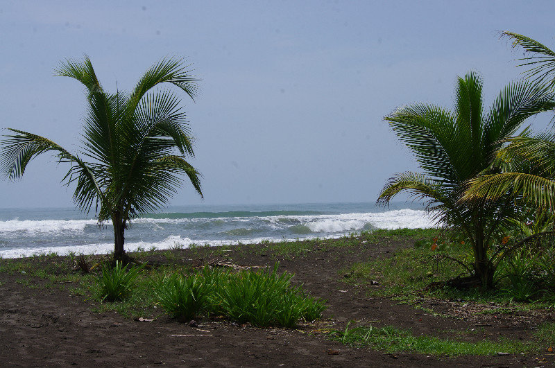 Tortuguero Beach