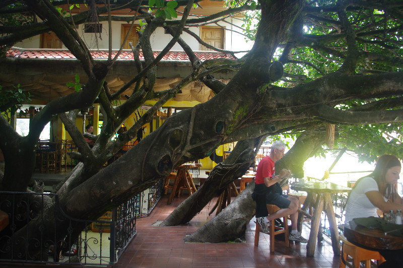 Tree House Restaurant