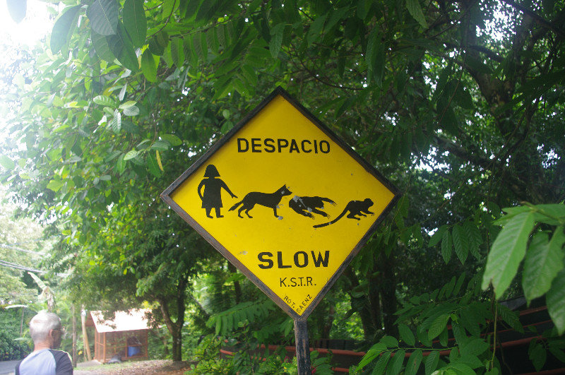 Unusual "Slow" sign