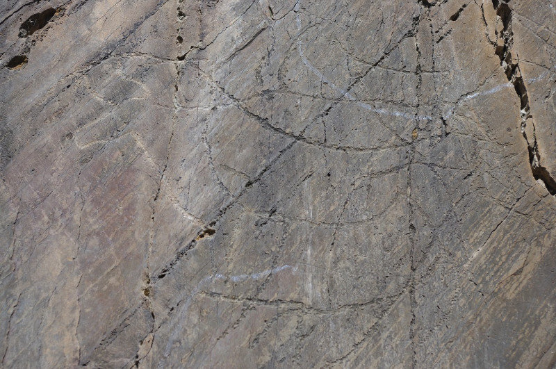 THE DRAWINGS ON THE FIRST ROCK WE SAW