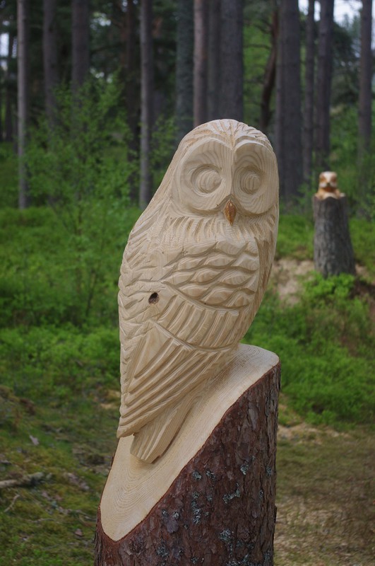 Hand-carved owl