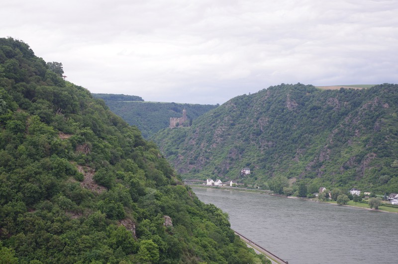 Looking upstream from Burg Rheinfels