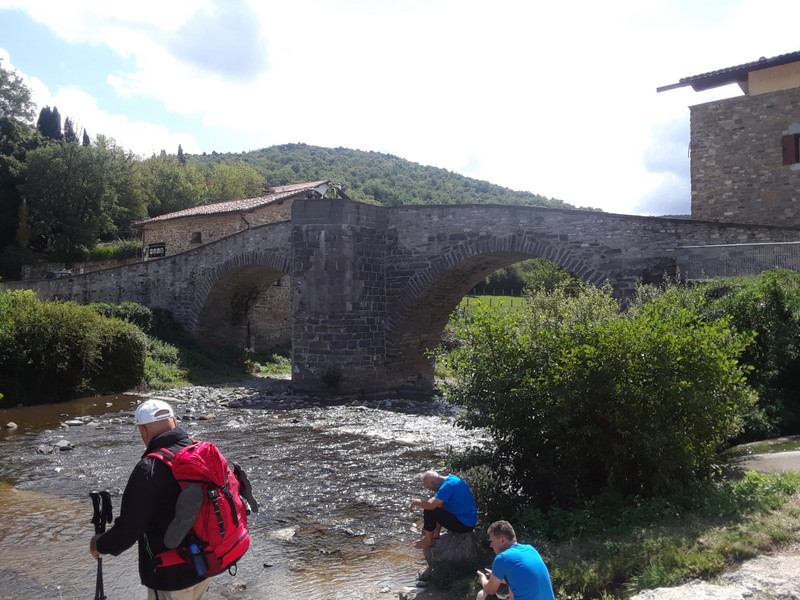 The medieval bridge to Zubiri 