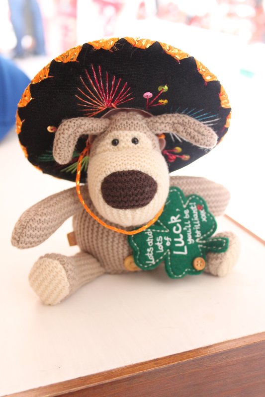 Lucy lou Boofle loves Mexico!