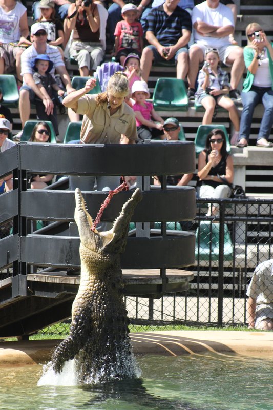 Teri Irwin feeding the crocs