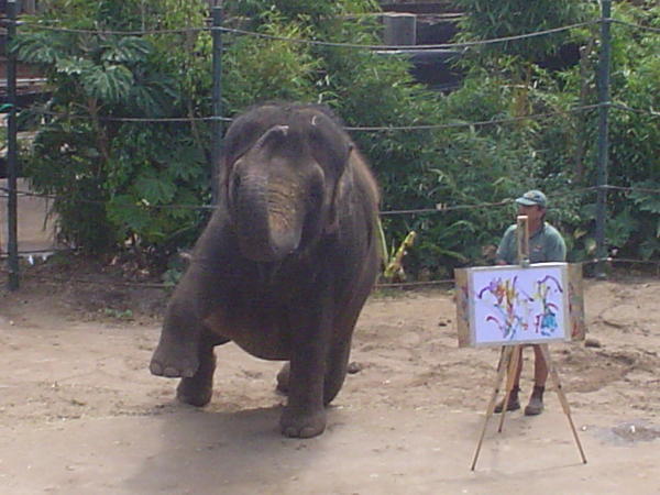 An Artistic Elephant