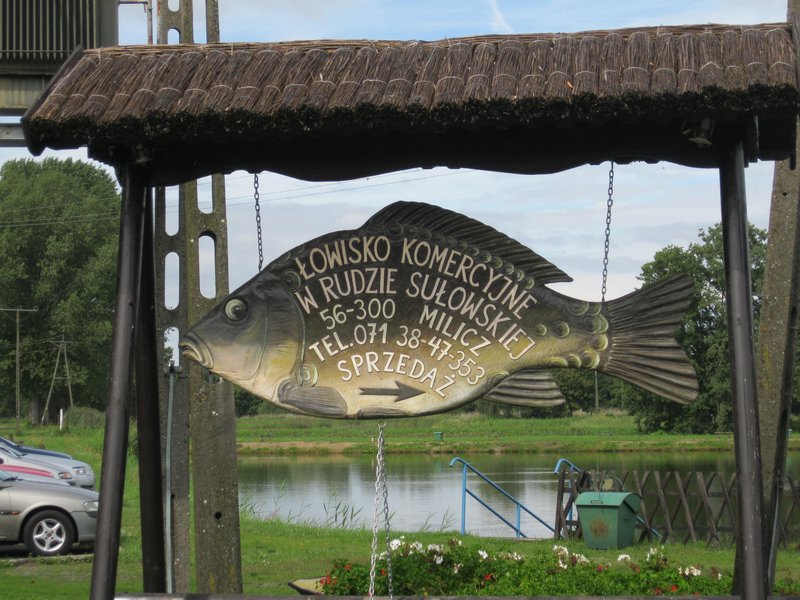 traditional carp sign