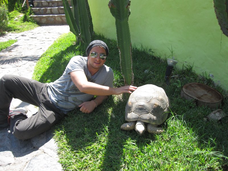 Scott and massive tortoise at hostel