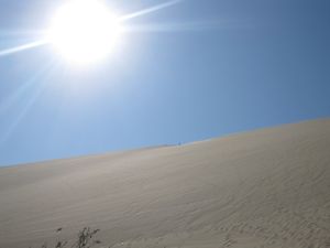 Sunny sand dunes