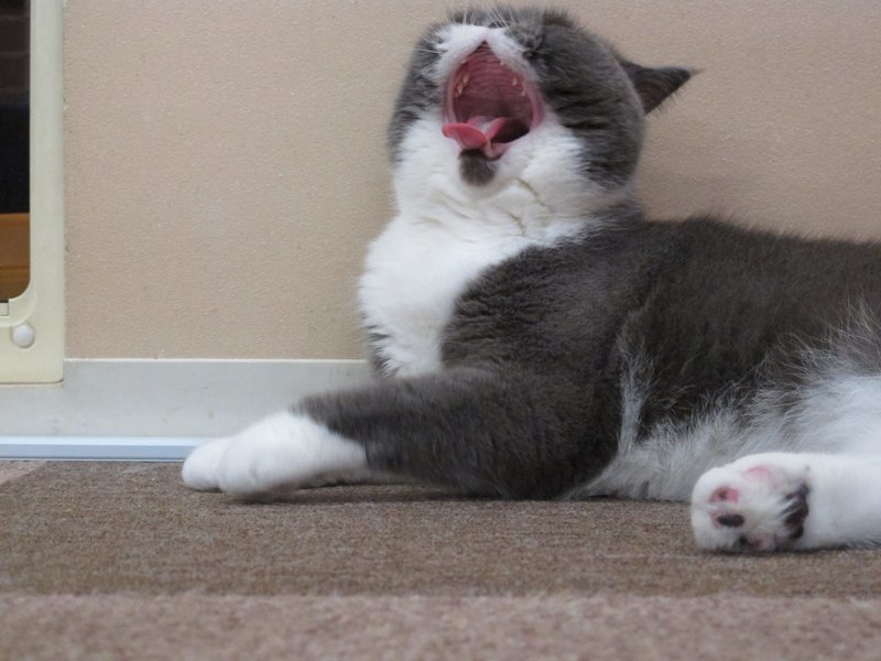Yawn! zzzzzzz