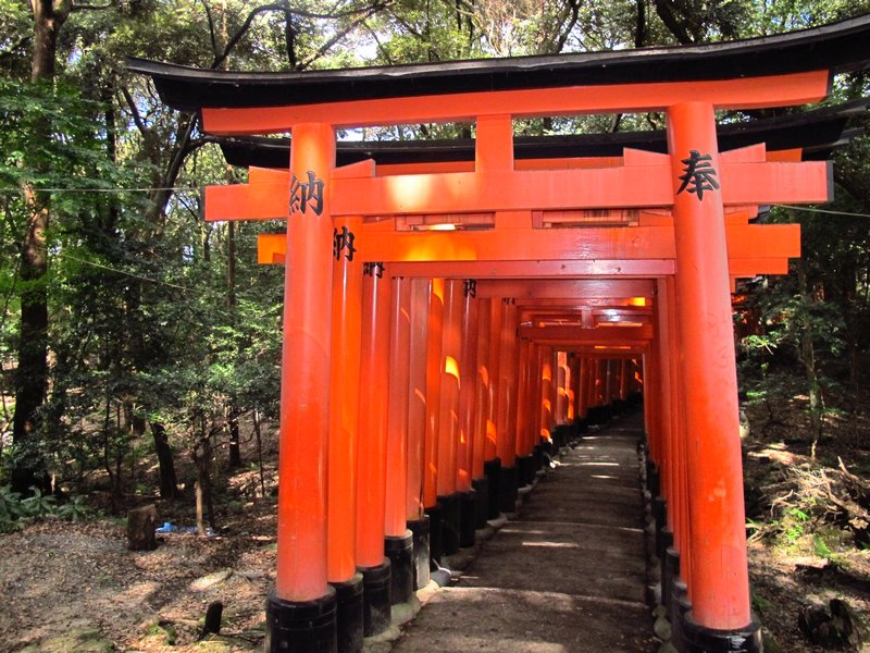 Inari Shrine - Tori Gates