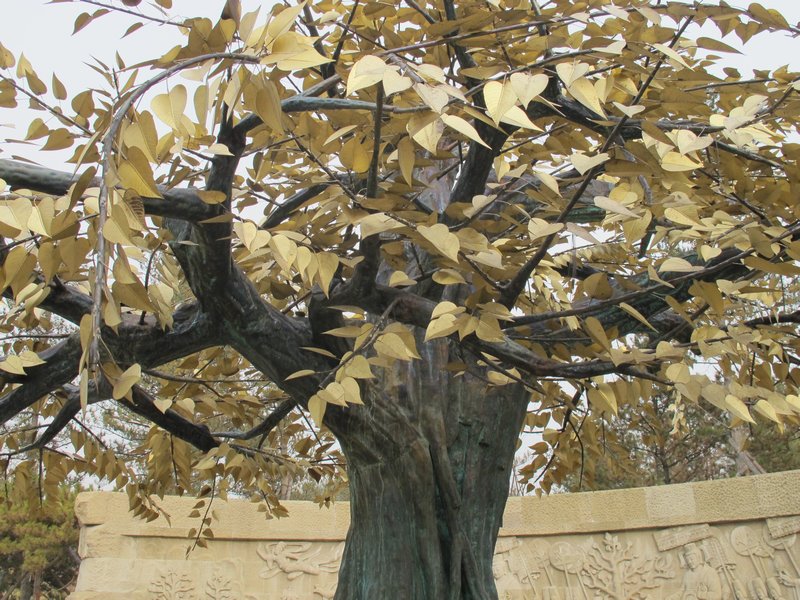 Gold leaf tree