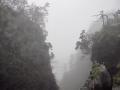 Misty Mt Emei