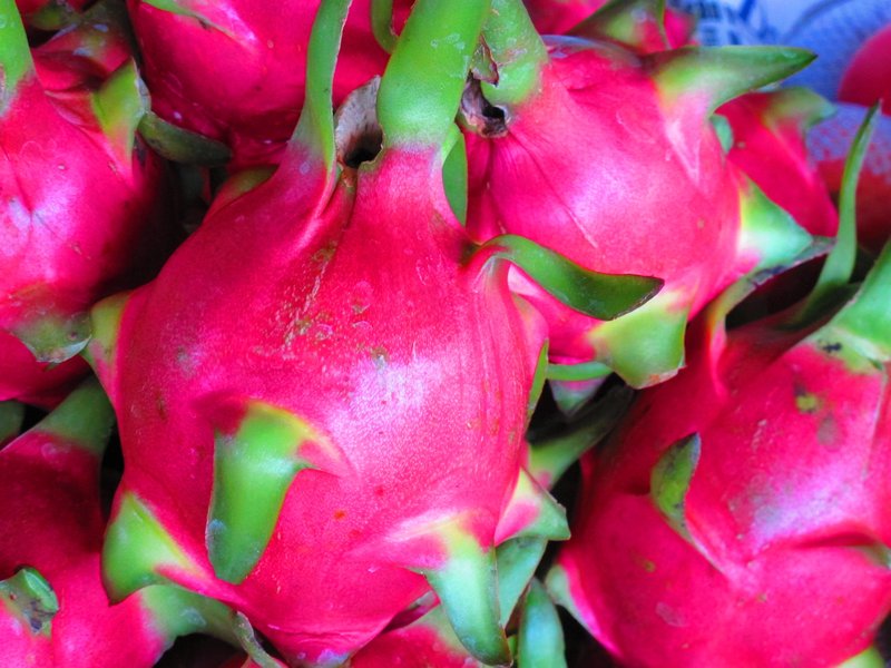 Dragon fruit in market