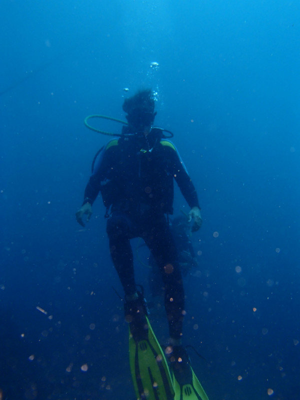 Scott diving