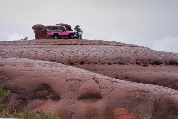 Pink Jeep Tour