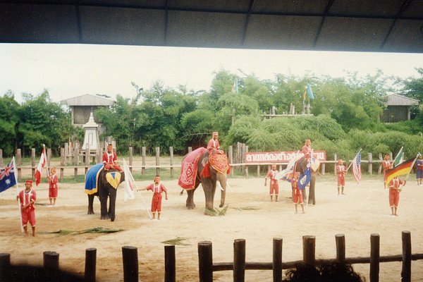 An Elephant Show