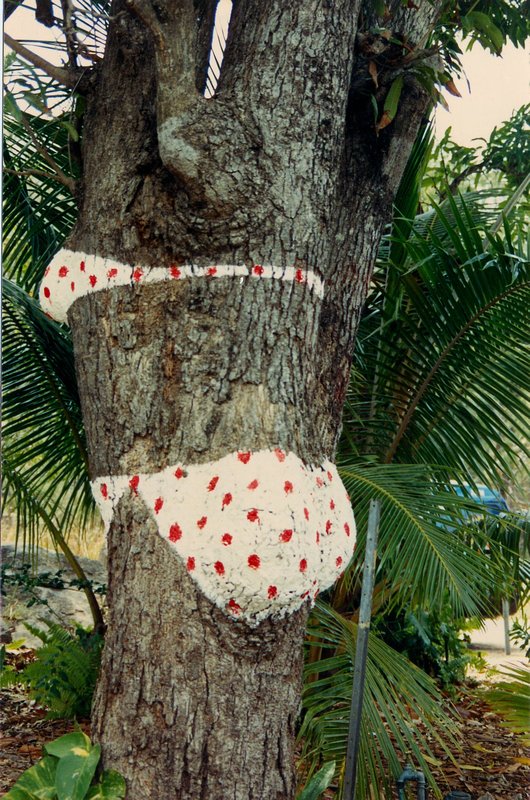 Bikini Tree