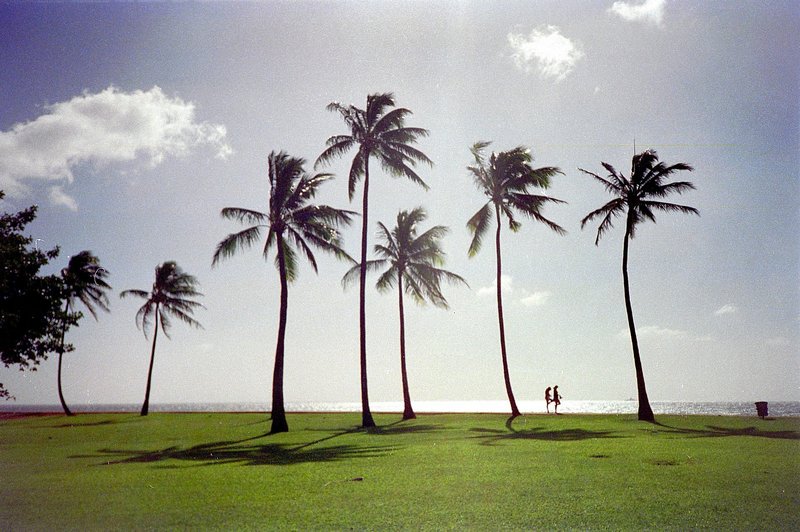 Honolulu Beach