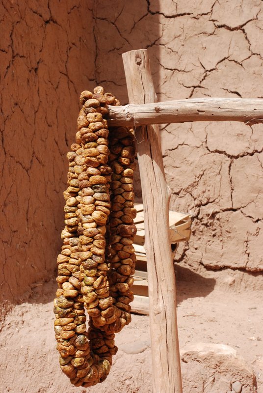 Figs drying in the Kasbah