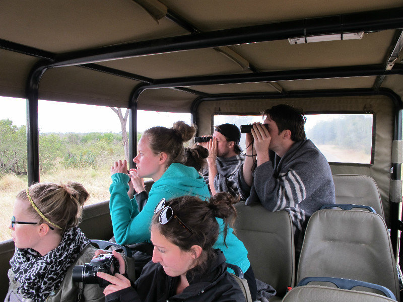 our group - watching a leopard stalking impala