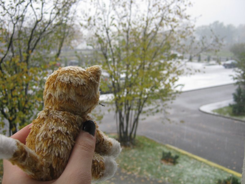 Mr. Kitty und mir gefaellt der erste Schnee in Riga