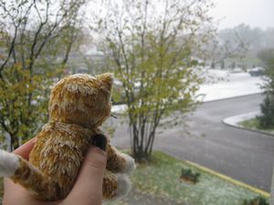 Mr. Kitty und mir gefaellt der erste Schnee in Riga