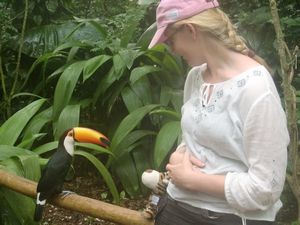 Jess, Tess and the Toucan