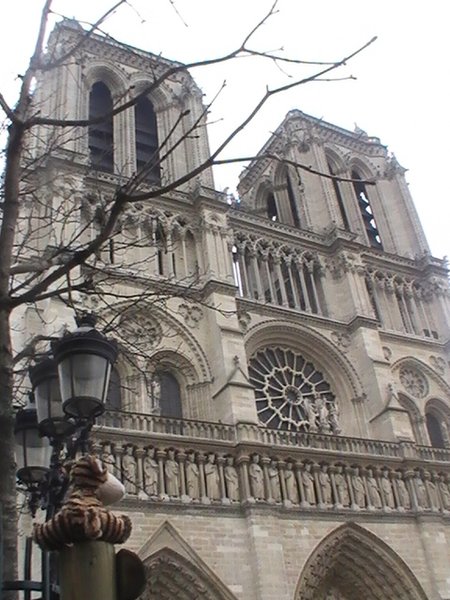 Tess at the Notre Dame