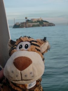 Tess and Alcatraz