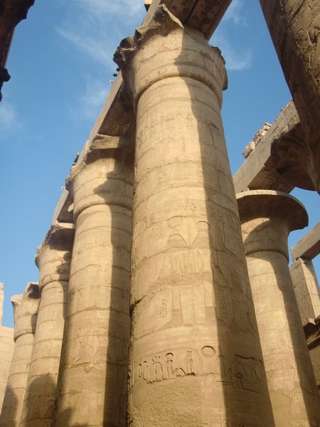 Some of the pillars in the Great Hall