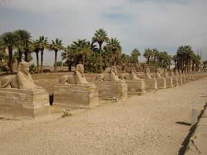 Avenue of Sphinxs