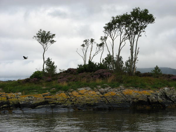 Plockton Bay Islands
