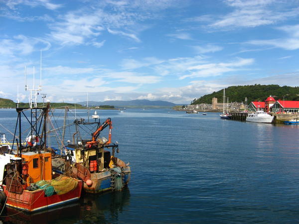 Oban harbour
