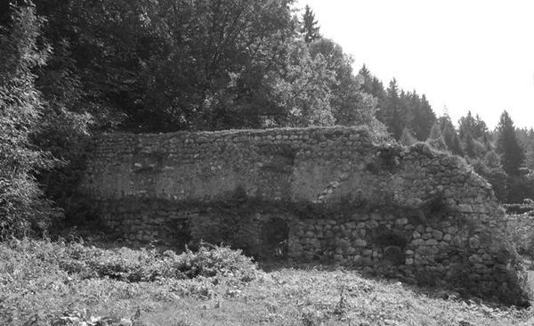 Remnants of Bran old town wall