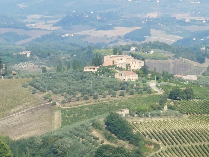 Lush vineyards and olive groves