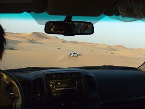 Dune bashimg - Abu Dhabi