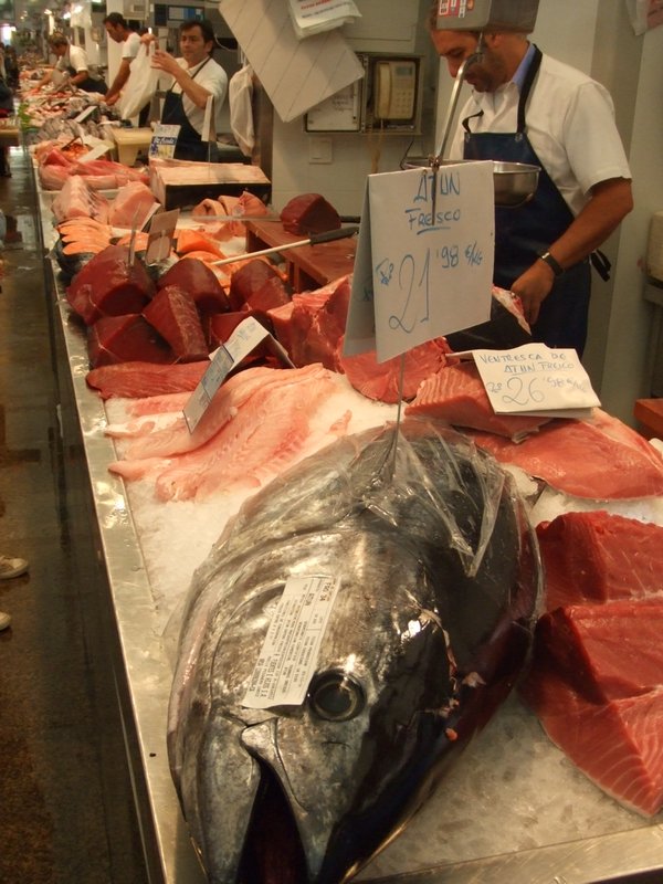Tuna at the fish market, Cadiz