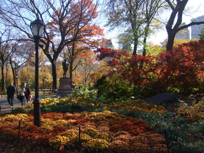 Autumn colours in Central Park