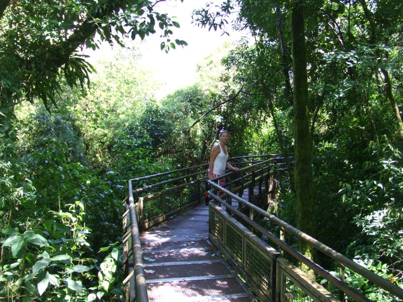 Lush National Park walkway
