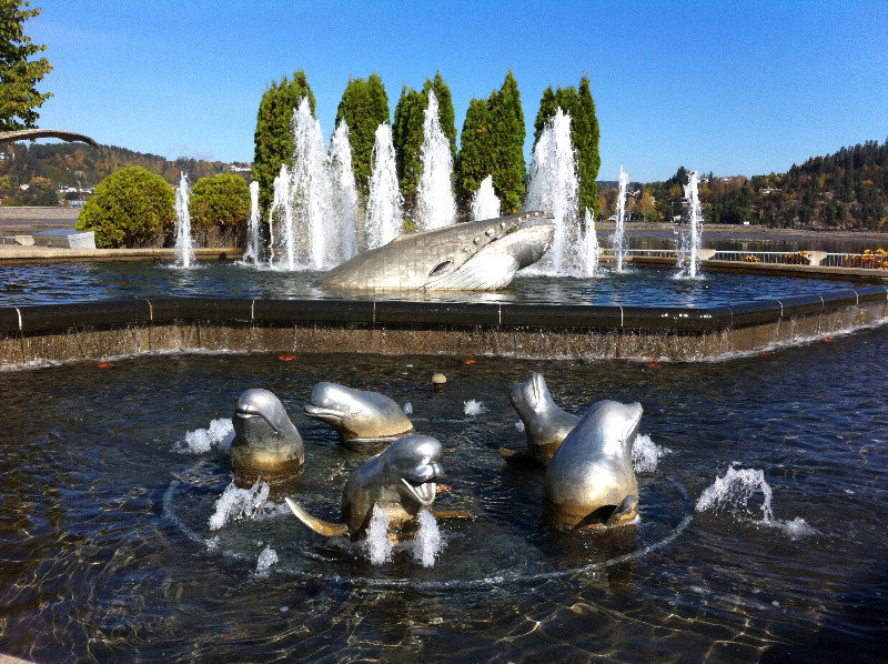 Beluga whale statue